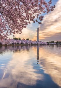 Reise til New York og Washington