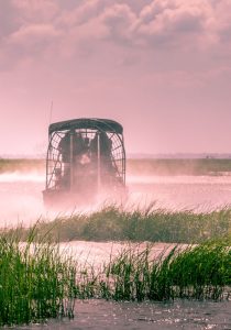 Reise til Everglades