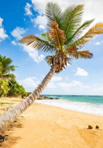 Reise til Puerto Rico